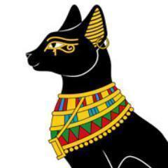 ChevysTees's profile picture. Best custom tees ever. Why buy other peoples apparel when you can have your own, any style, any image,  more info  http://www.chevystees@facebook.com #CT