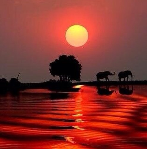 Bringing you magical pictures from all around the world