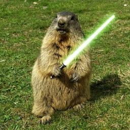 Juanita_Marmott's profile picture. Family and Friends above all