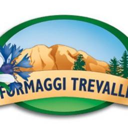 FTrevalli's profile picture. 