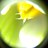 kj_girlaboutown's profile image