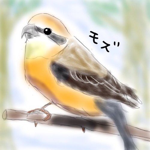 百舌〜モズ〜さんのプロフィール画像
