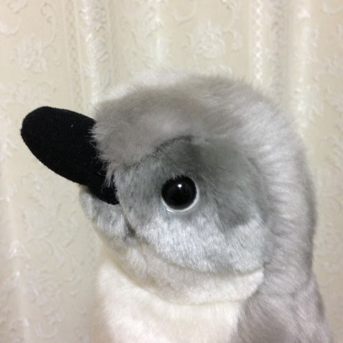 crslsklepu's profile picture. アニメとロコドル大好きです。ただのアニヲタ&ドルヲタ。ペンギンも好きです🐧