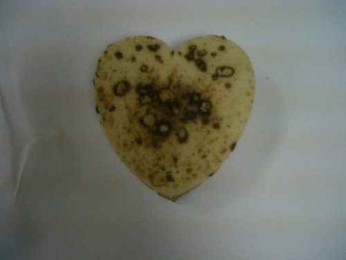 merritt_sc's profile picture. Taking a Twitter break for Lent                                Ex shipbuilder & confectioner now into bread & snacks