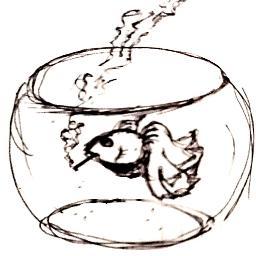 how I learned to stop worrying and love the functional analysis