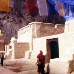 roadstaa's profile picture. 