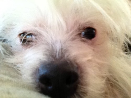 MalesaniAndrea's profile picture. 