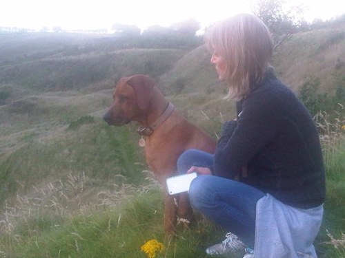 Heather65068456's profile picture. my ridgeback ❤️