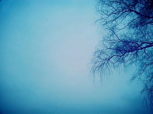 ❄️『너무 보고플 땐 눈이 온다』                                        
🌸『우리가 키스할 때 눈을 감는 건』