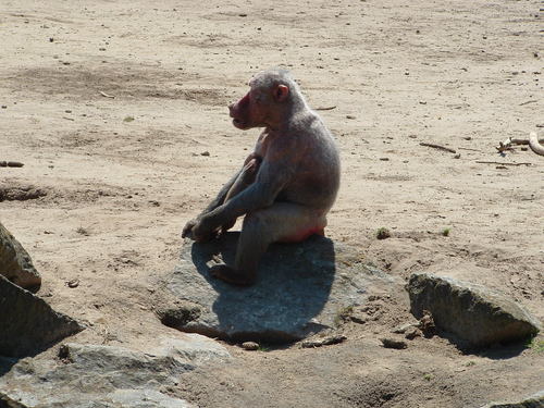 airsoftharry's profile picture. 