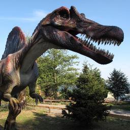 RPARybnik's profile picture. RODZINNY PARK ATRAKCJI - najlepsze miejsce na rekreację, 
aktywny wypoczynek i świetną zabawę dla Ciebie i całej rodziny!