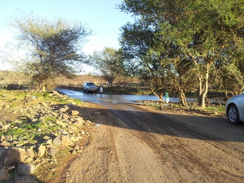 zxcasdqwe678's profile picture. أخبار الربيع في شبه جزيرة العرب