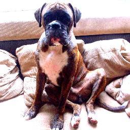 RossieW's profile picture. Wife to Dave, mum to Fergus.