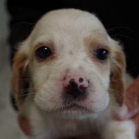 anglobe (@anglobe1225) Twitter profile photo