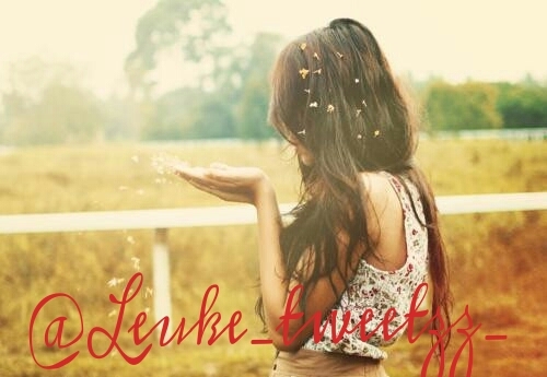 leuke_tweetzz_'s profile picture. Zie je die follow knop blauw worden als je erop drukt?