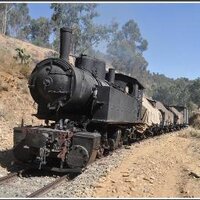 Wedi Negash (@bahrinegash) 's Twitter Profile