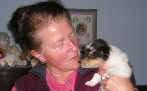 A Professor of political science and collie breeder for over 20 years.