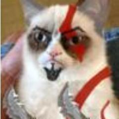 Tyrant_Sparda's profile picture. I'm just a cat!