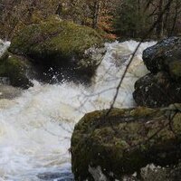 Philippe Wezer (@philippewezer) 's Twitter Profile