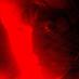 Daleternal (@dalerriley) Twitter profile photo Daleternal (@dalerriley) Twitter profile photo
