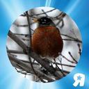 Gail Dobson - @lalagump - Twitter