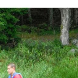 jamiehirtle's profile picture. 