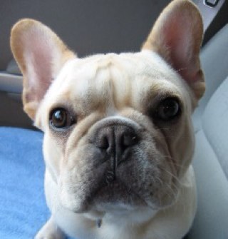 Spuders's profile picture. 