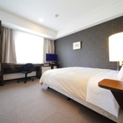 HaiHolcomb1's profile picture. 