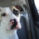 Nelson Smith - @NelsonDelor - Twitter