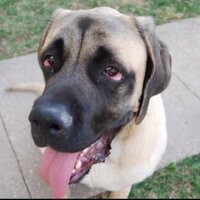 Brad Abbott (@bnelson603) 's Twitter Profile