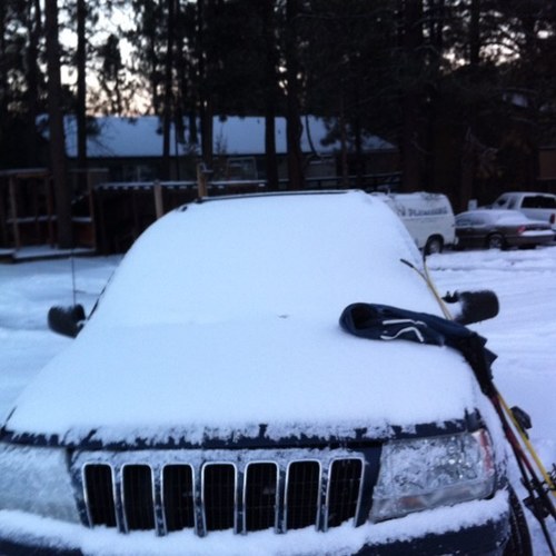 fjarcaute's profile picture. 