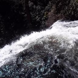 leaflish's profile picture. 