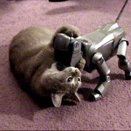 deaigadaisuki's profile picture. よろしくお願いします　 #相互
True	便利なソフト大好き　～稼げるソフト集めてます～(￣∇￣)V