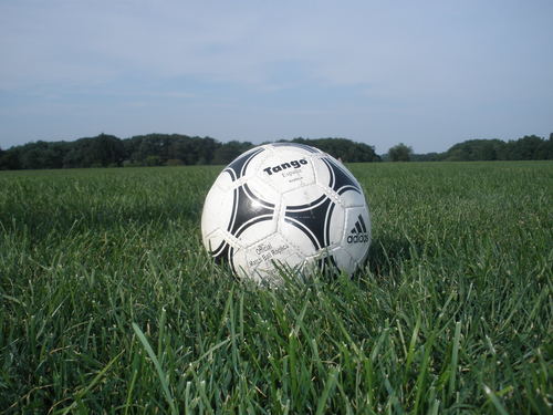 EddieZ66's profile picture. Soccer Dad