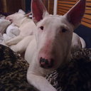 Lillian Orton - @rleslyrgs - Twitter