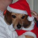 Ryan Madland - @MadMadland09 - Twitter