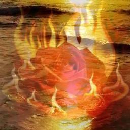 AnaSasa70's profile picture. 