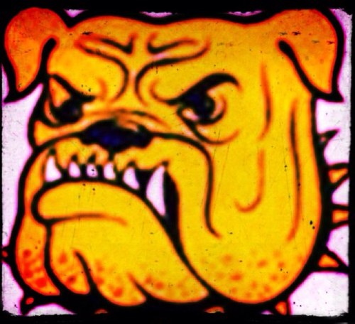 MHS_Dawg_Soccer's profile picture. Perfection Is Unattainable But If You Chase Perfection You Can Catch Excellence!