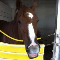 Second Chance TBs (@secondchancetbs) 's Twitter Profile