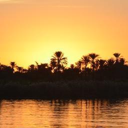 acvb32's profile picture. 