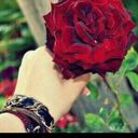 زهرة الشام (@11991Meme) Twitter