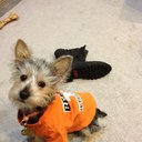 Harry Teitelbaum - @TeitelbaumHarry - Twitter