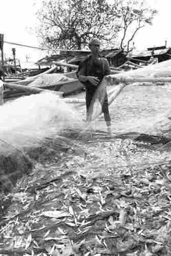 KadekSu's profile picture. Yang mau di bayar! DM aja