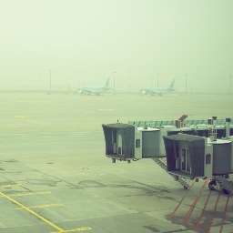 ashlegally's profile picture. 