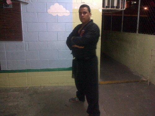 PRACTICANTE DE KENPO KARATE (KENPO KARATE MAS QUE UN ARTE MARCIAL ES UN ESTILO DE VIDA; Y ASÍ LO QUIERAS DEJAR EN TU CASA, SENCILLAMENTE NO PUEDES)