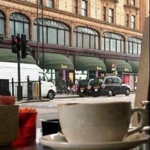 55662256's profile picture. 