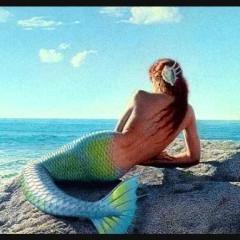 Mike_Doyle_7's profile picture. #FollowBackSeguro #SiguemeYTeSigo #Follow1x1 #BancoDeSeguidores #SeguimeYTeSigo #SiMeSiguesTeSigo #FollowRapido #FollowFacil