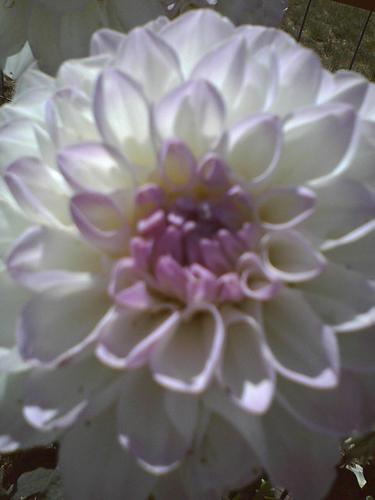 Missyfaye57's profile picture. 