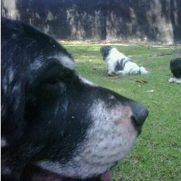 temper85's profile picture. Vengo del Futuro, para decirte Que Te Quiero allá Conmigo... ¡¡¡Conóceme!!!