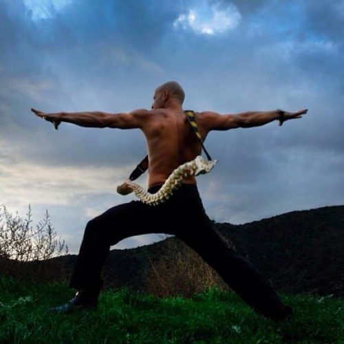 Chiropractor | Yogi | Author | Teacher | Philosopher